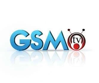 GSM Care Solutions logo