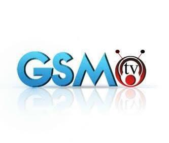GSM Care Solutions Logo
